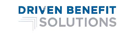 Driven Solutions - logo